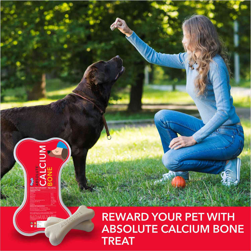 Drools Absolute Calcium Bone Jar for Dogs bone shape jar