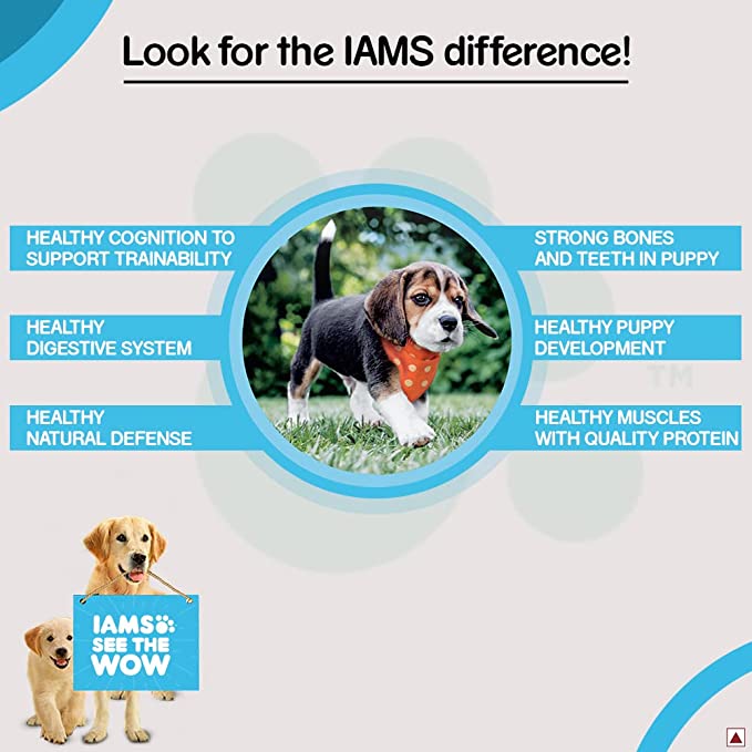 IAMS Proactive Health Premium Mother and Baby Dog Dry Food