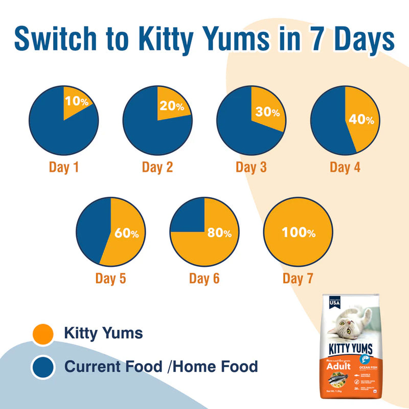 Kitty Yums Adult Dry Cat Food Ocean Fish