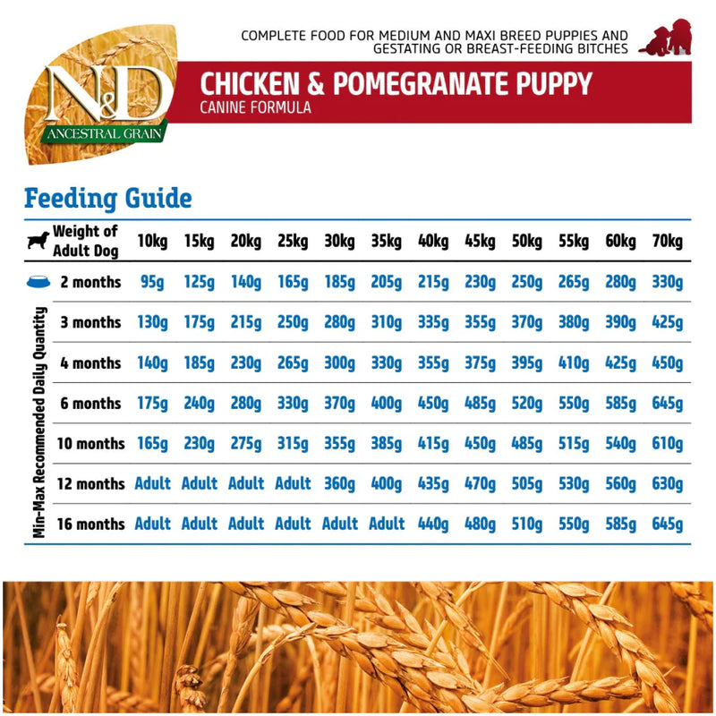 Farmina N&D Chicken Pomegranate Ancestral Grain Puppy Medium Maxi Dog Dry Food