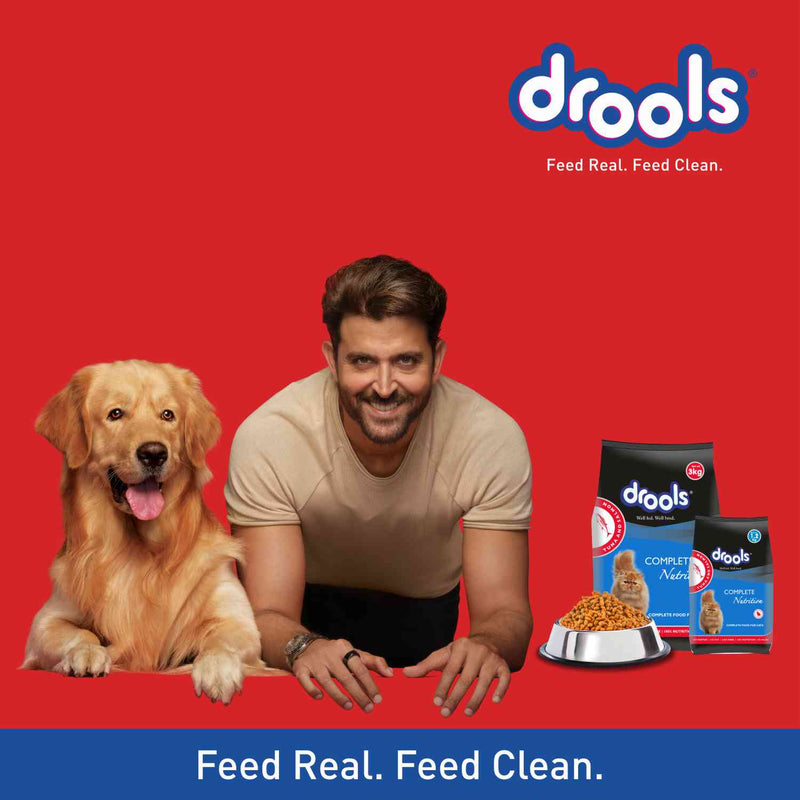 Drools Tuna & Salmon Adult Dry Cat Food