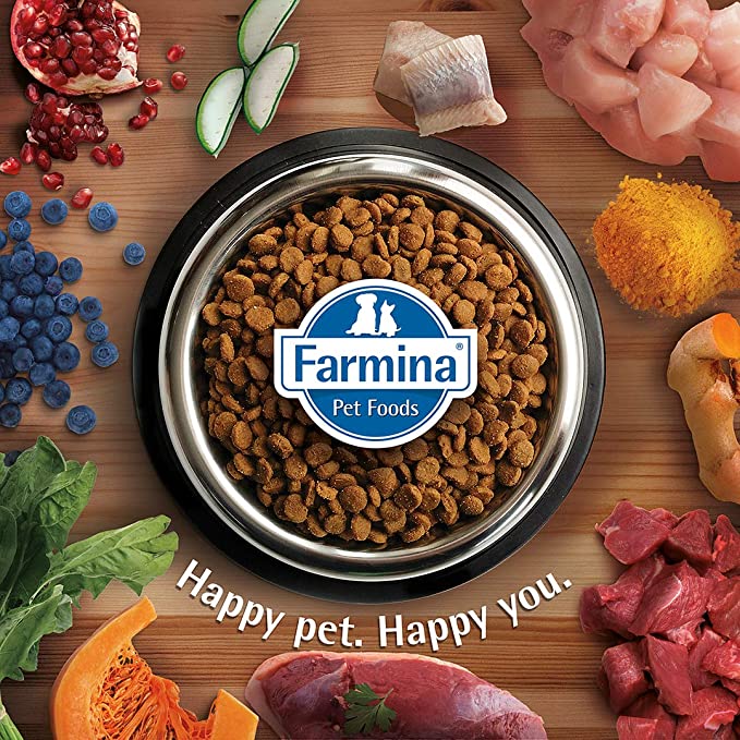 Farmina Dry Food N&D Quinoa Cat Digestion Lamb Adult