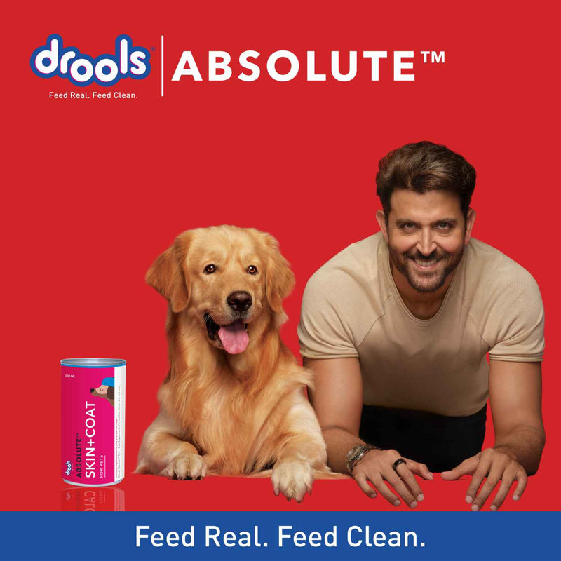 Drools Absolute Skin & Coat Syrup Supplement for Dogs 300ml