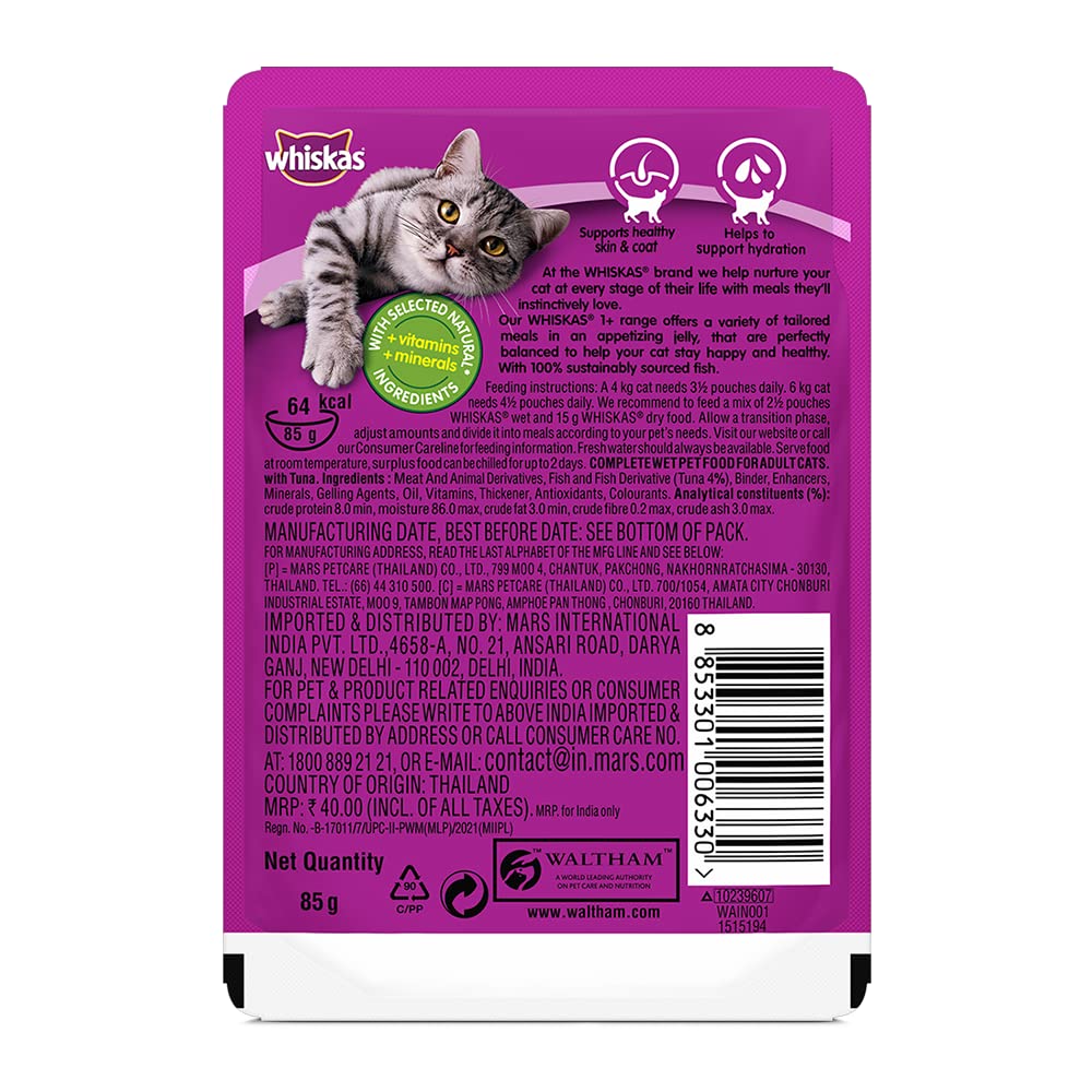 Jelly Cat Food for Cats
