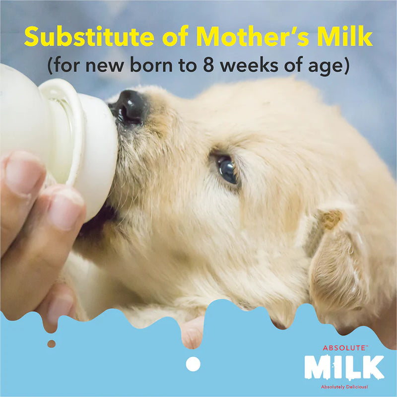 Drools Absolute Milk For Newborn Puppies - 500g