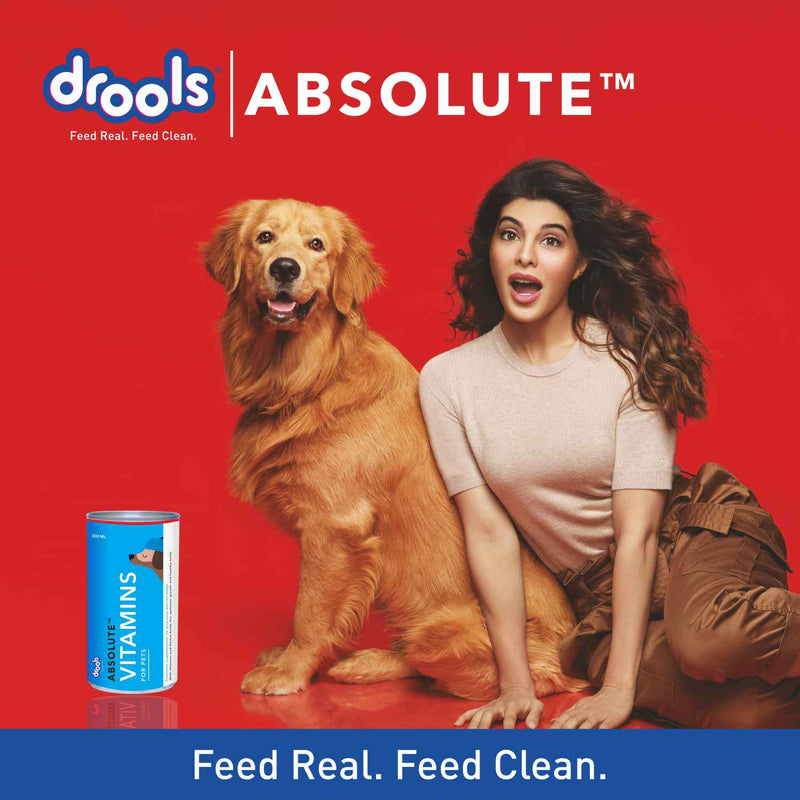 Drools Absolute Vitamin Syrup Supplement for Dogs 300ml