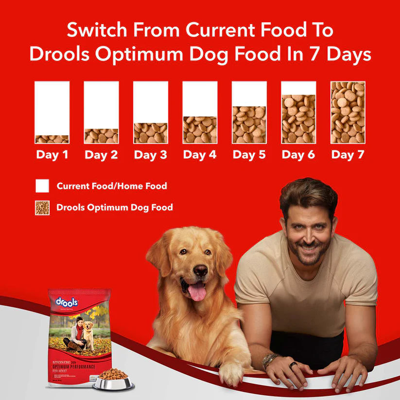 Vet-approved dry food for adult dogs
