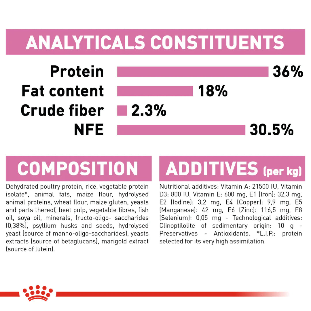 Protein-based kitten kibble
