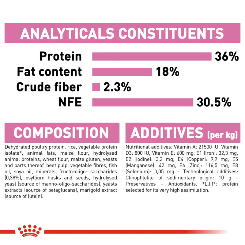 Royal Canin Kitten 36 Dry Cat Food