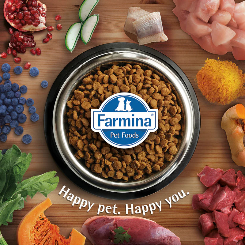 Farmina N&D Quinoa Weight Management Grain Free Cat Dry Food - Lamb, Broccoli & Asparagus