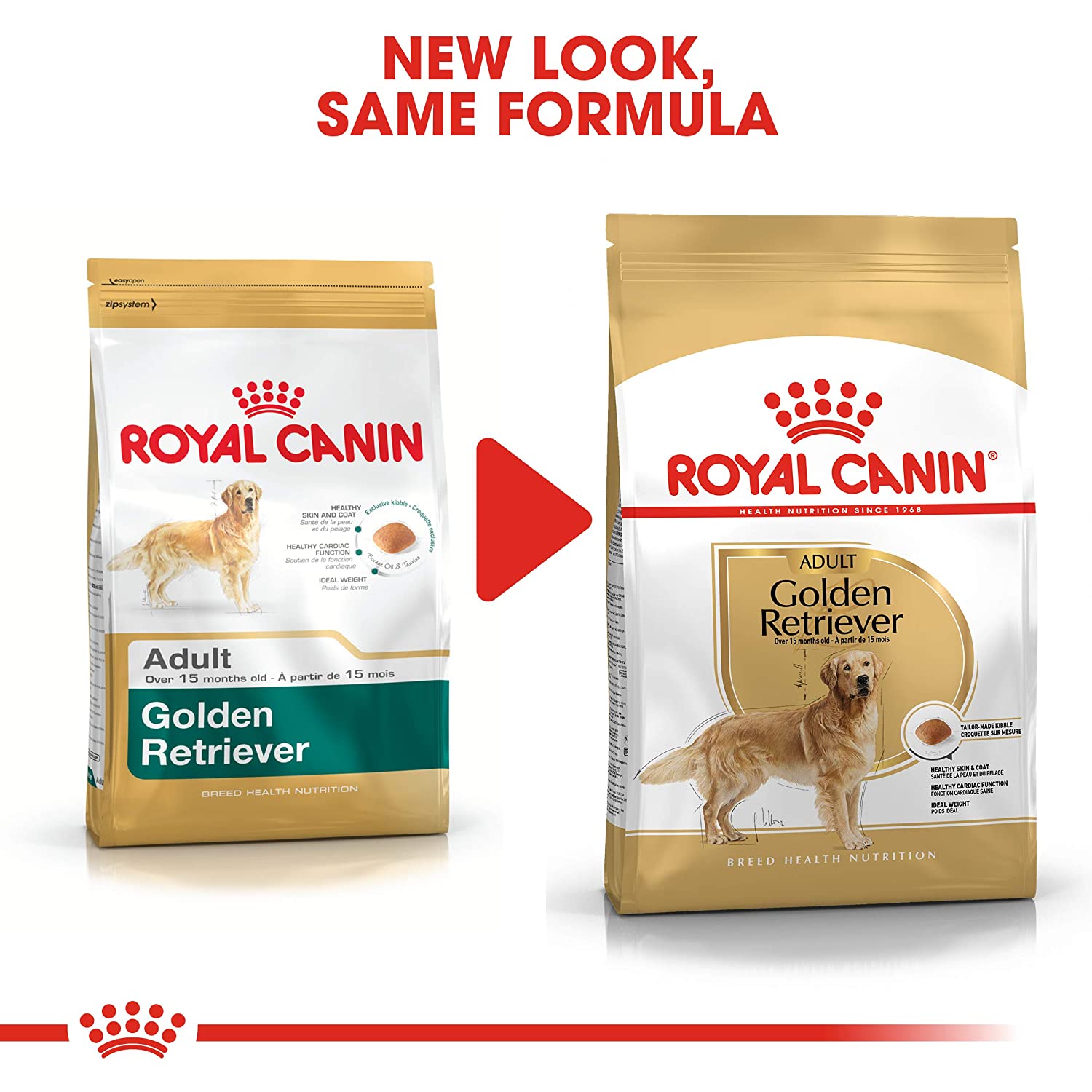 Golden Retriever with shiny coat from Royal Canin