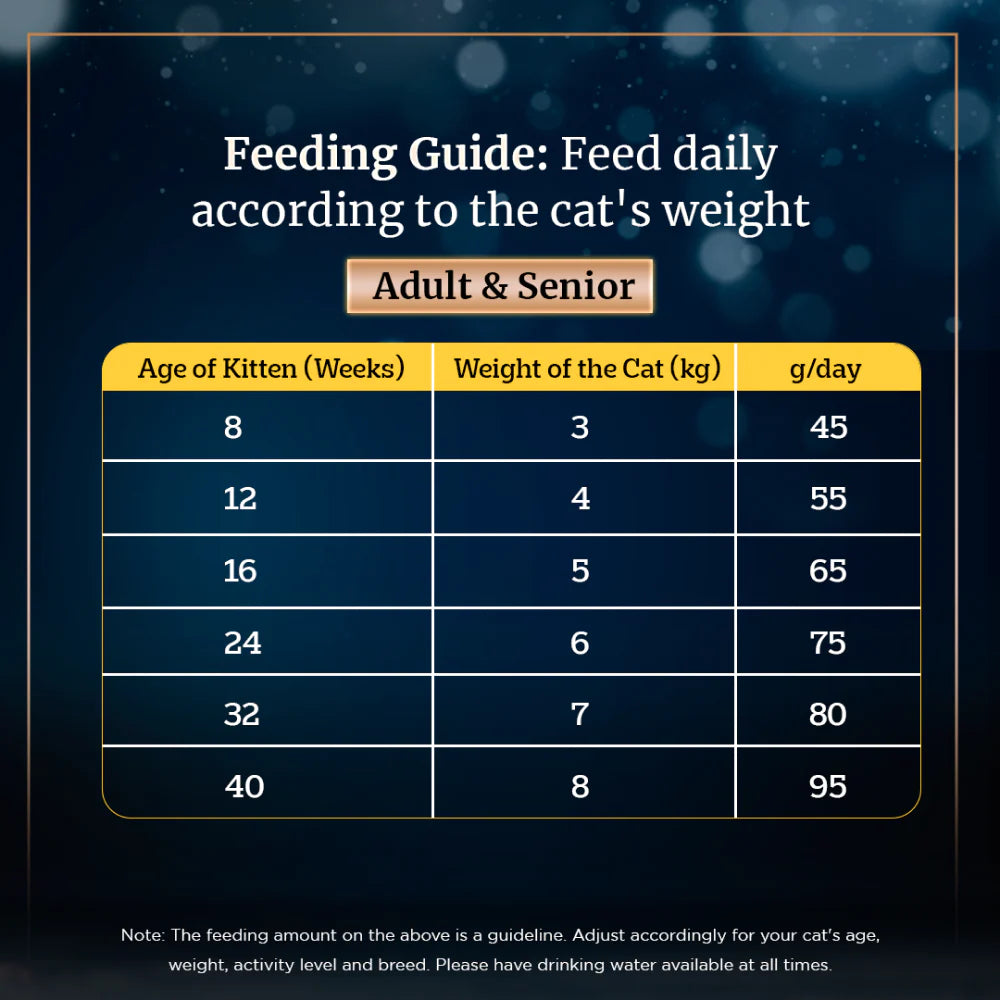 Complete and balanced dry cat food
