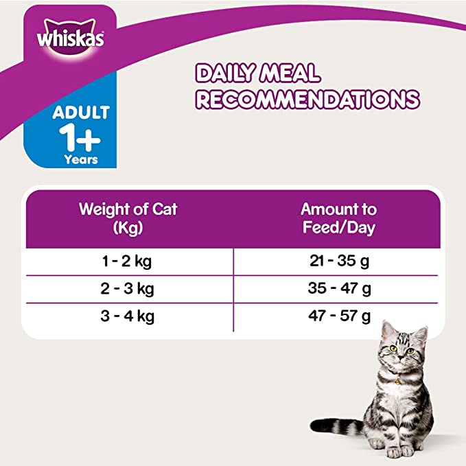 Cat Food for Healthy Coat
