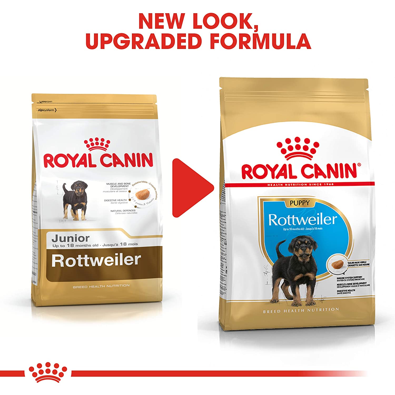 Rottweiler puppy growth food
