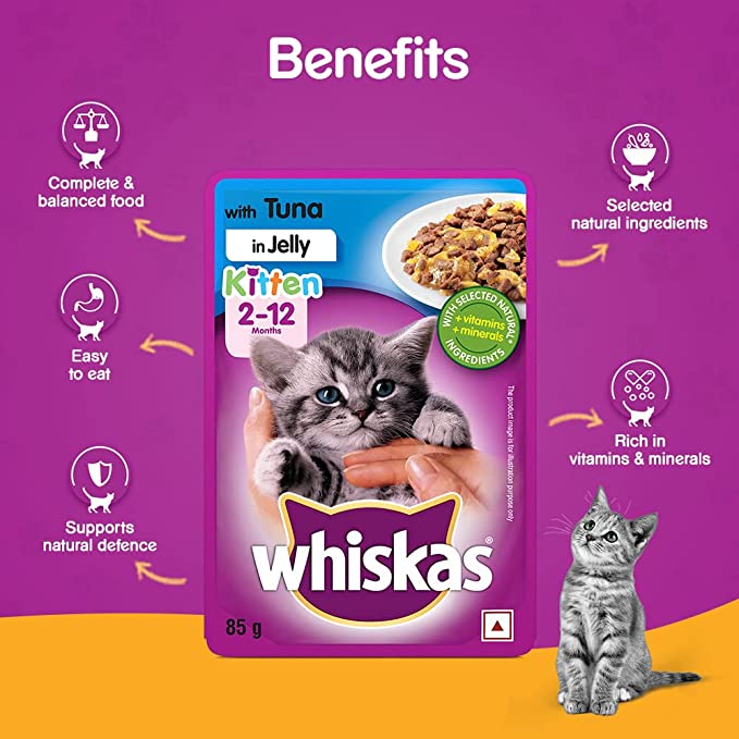 Whiskas Kitten Wet Cat Food Tuna in Jelly