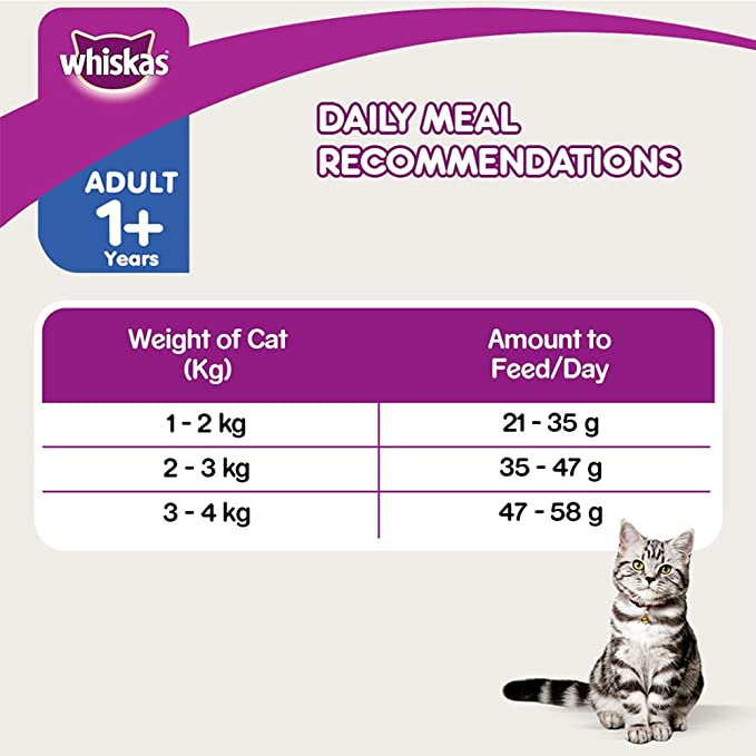 WHISKAS Skin & Coat Adult Dry Food, Chicken & Salmon