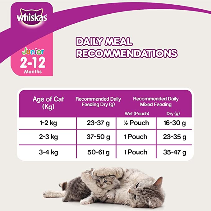 WHISKAS Kitten Dry Food, Ocean Fish with Milk