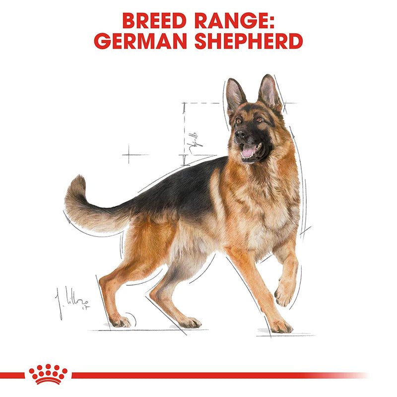 Royal Canin German Shepherd Adult Dry Dog Food