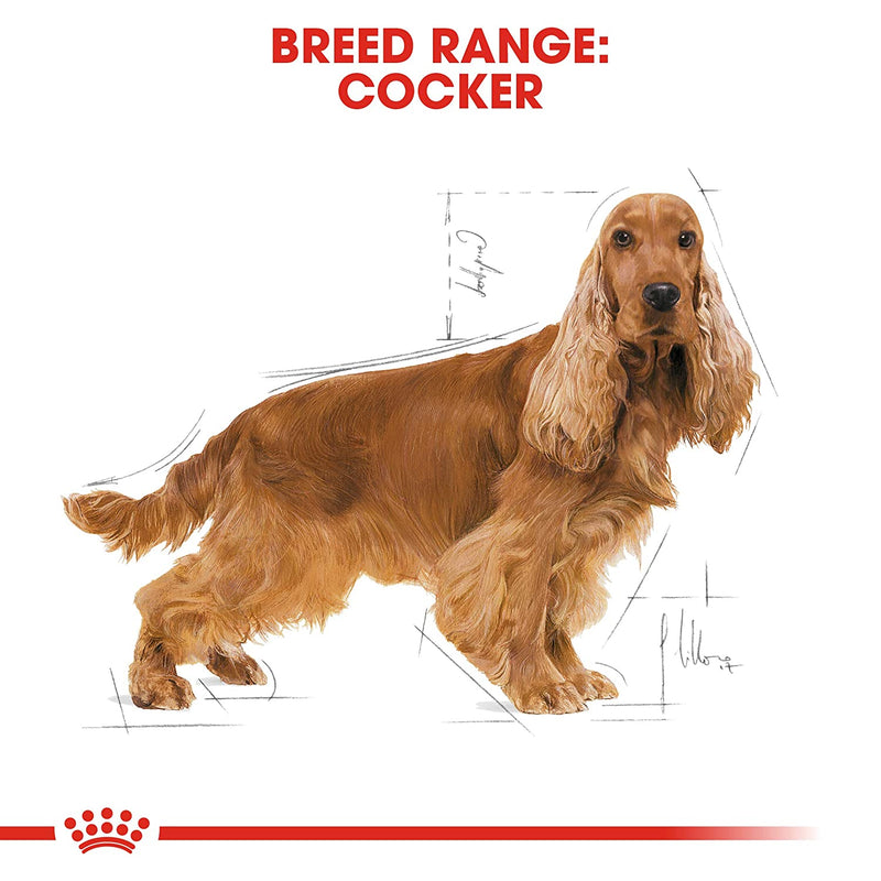 Royal Canin Cocker Pellet Adult Dog Food, 3 kg