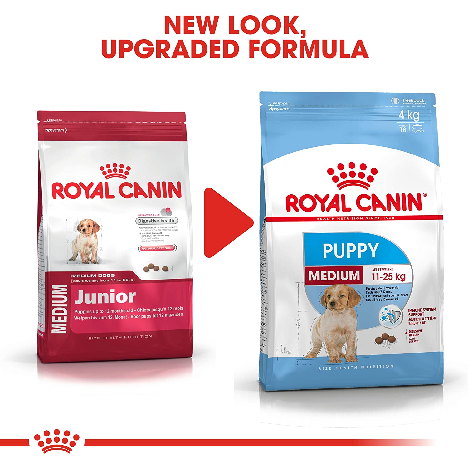 Puppy food with vitamins
