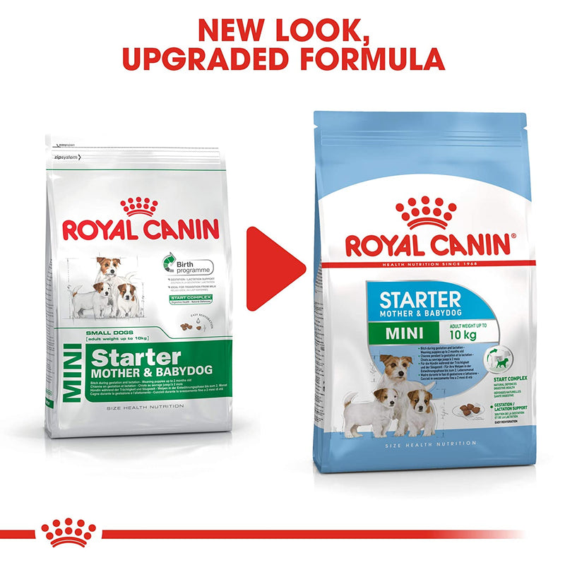 Royal Canin Mini Starter Mother & Babydog Dry Dog Food