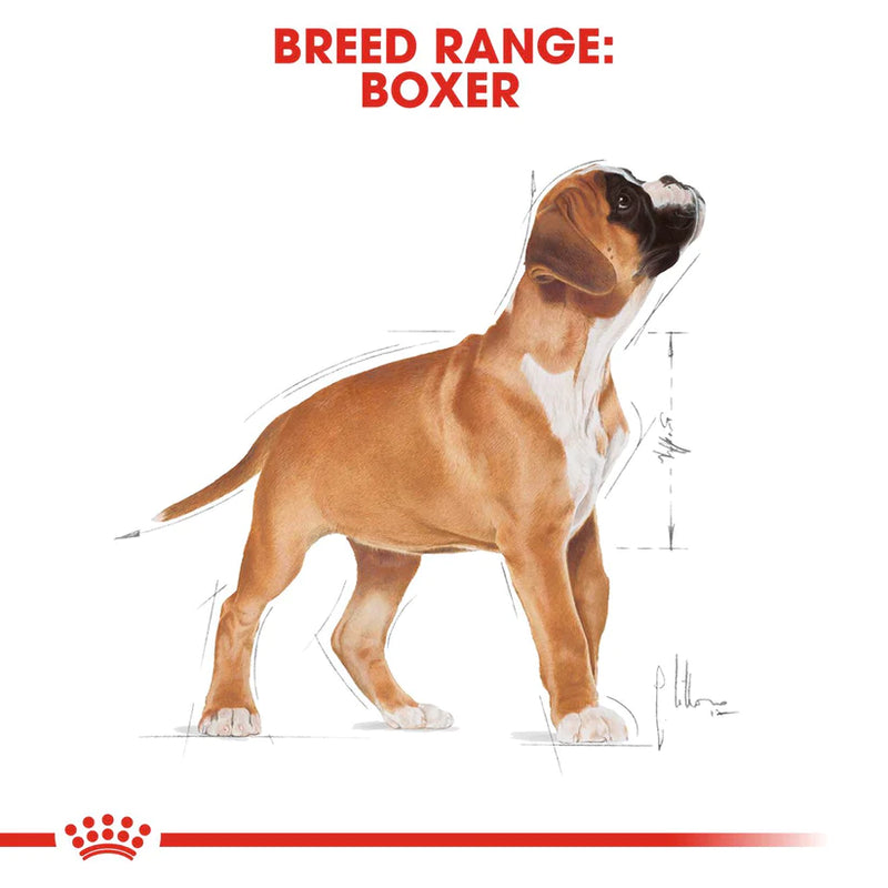 Royal Canin Boxer Puppy