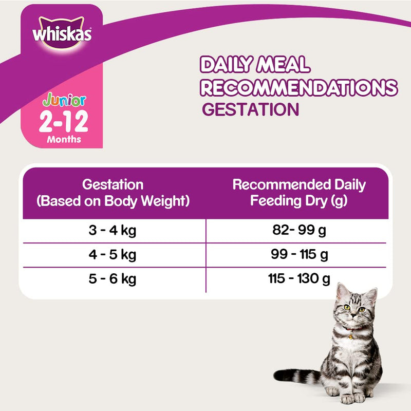 WHISKAS  Kitten Dry Food, Mackerel