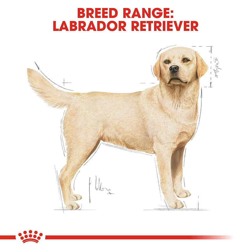 Royal Canin Labrador Pellet Adult Dog Food, Meat Flavor, 3 Kg