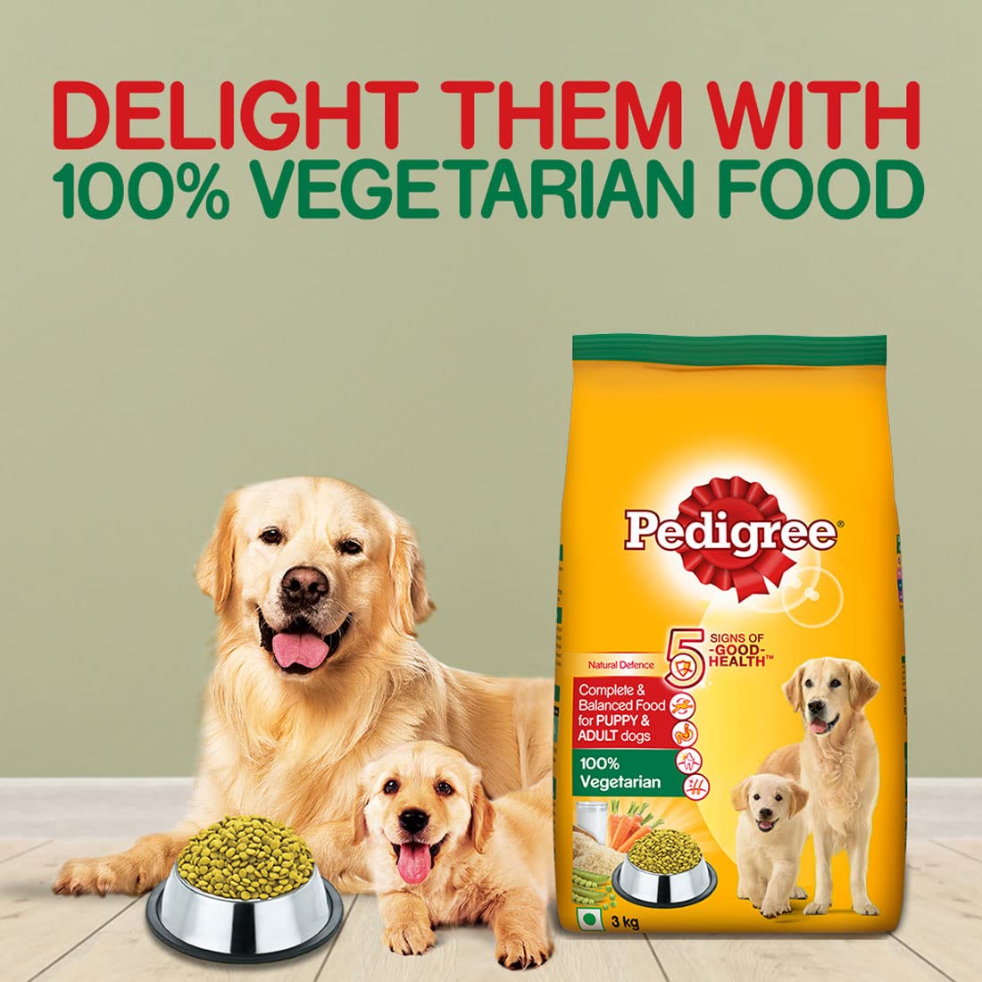 Pet owner feeding dog vegetarian food
