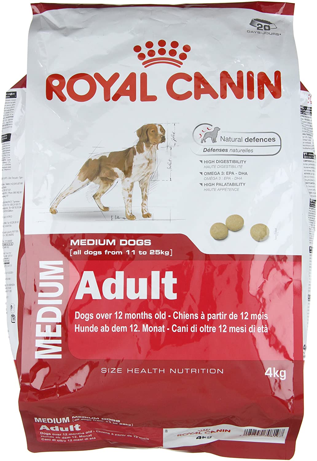 Dog food for coat health
