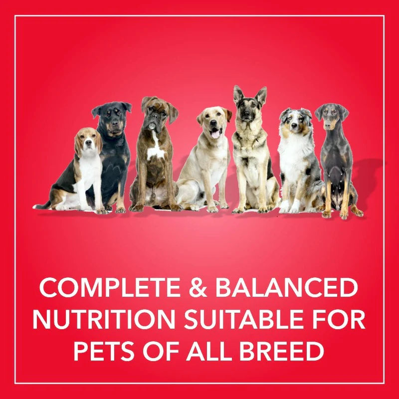 Complete dog food for all breeds
