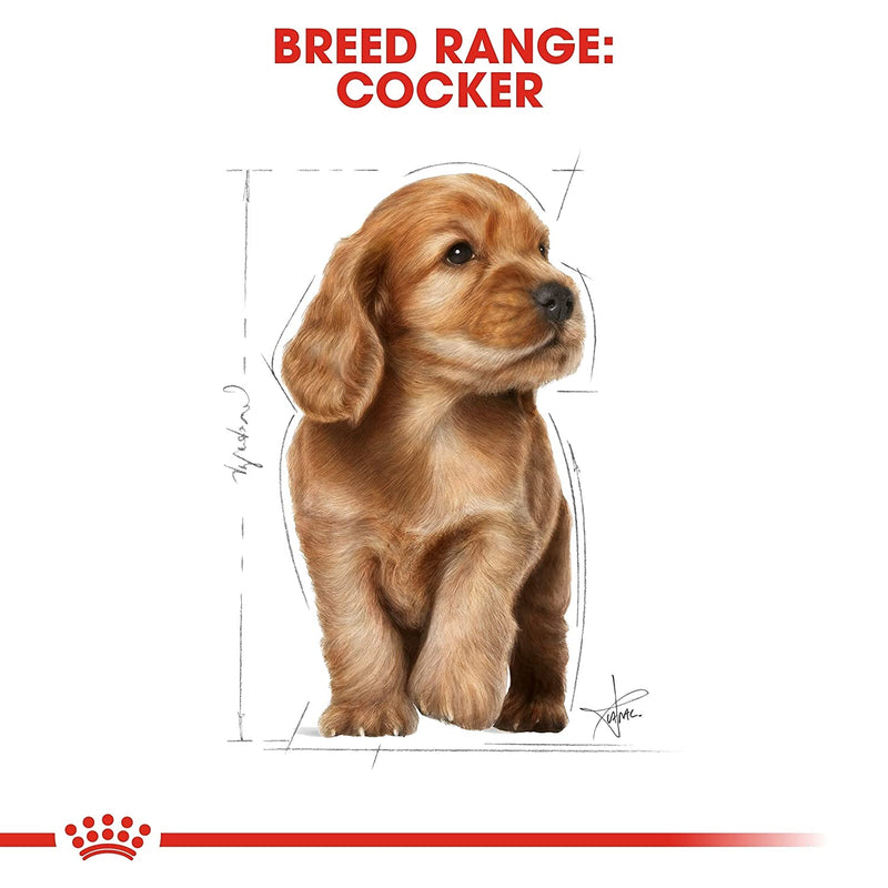 Royal Canin Cocker Puppy, 3 kg (Pack of 1)