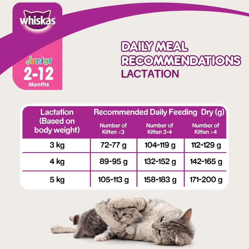 WHISKAS  Kitten Dry Food, Mackerel