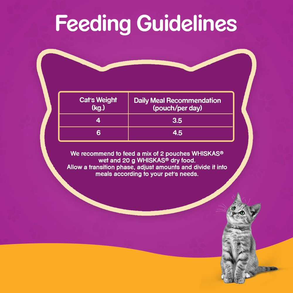 Complete Nutrition for Cats
