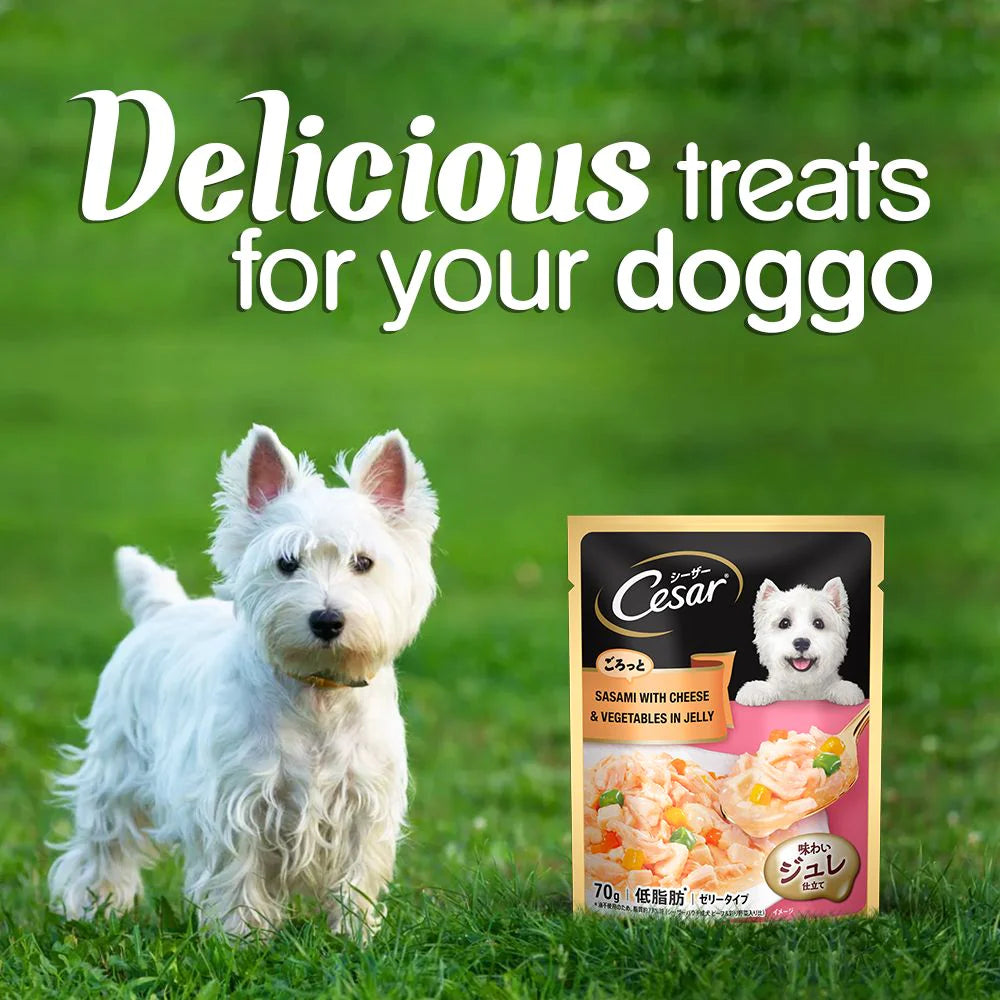 Premium food for active dogs
