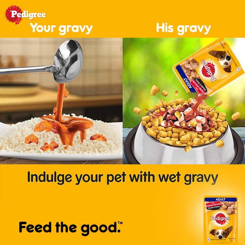 Pedigree Adult Wet Food Chicken & Liver Chunks in Gravy