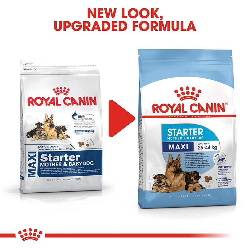 Royal Canin Maxi Starter Mother & Babydog Dry Dog Food