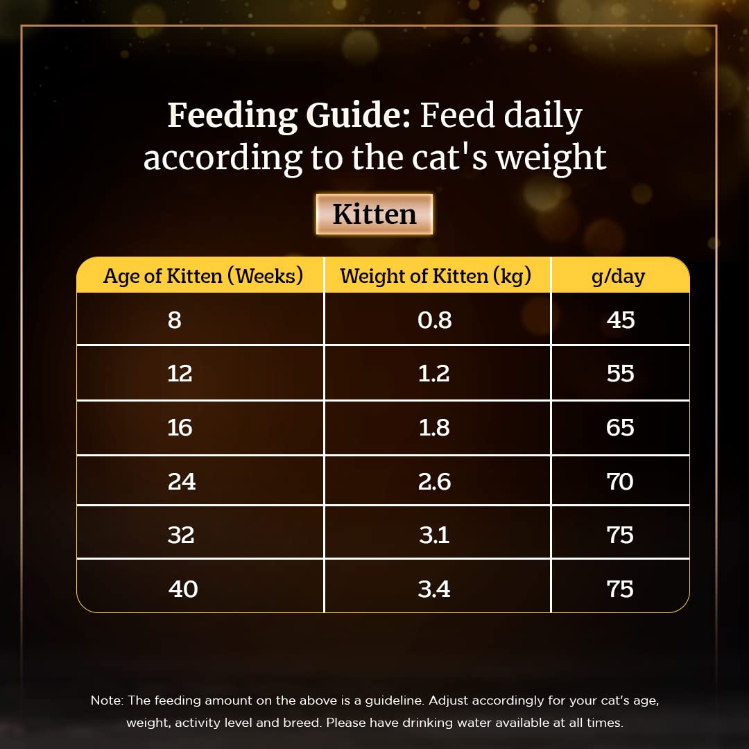 Cat food that supports immunity
