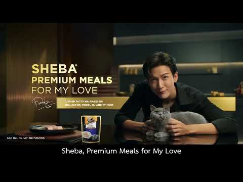 Sheba Wet Food for Kittens – Chicken Loaf Flavor